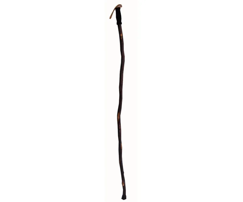 Hiker Cane